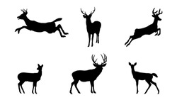 Set Of Black Deer Silhouettes