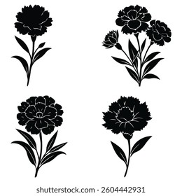 set black dianthus flower vector illustrations