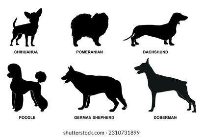 Set of black dog breeds silhouettes on a white background