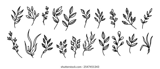 Set black doodle branches with leaves, natural herbal decorative element, plant silhouette. Botanical illustrations for spring design or decor. Foliage decoration. Set hand drawn leaves silhouettes.