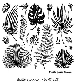 Set of black doodle exotic palm leaves on a white background. Vector botanical illustration, elements for design.