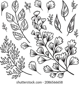 Set of black drawing of twigs and leaves in freehand sketch style isolated on white background. Digital illustration in the style of hand drawing with ink, charcoal, pencil.
