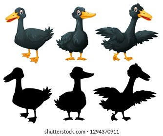 Set of black duck on white backgroung illustration