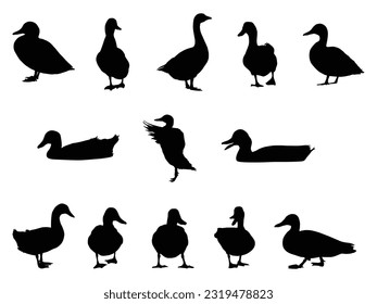 Set of black duck silhouettes vector illustration