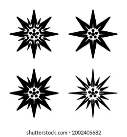 A set of black edelweiss icons. Alpine alpine flower, a symbol of many countries. 4 variants of the font. Vector illustration isolated on a white background for design and web.