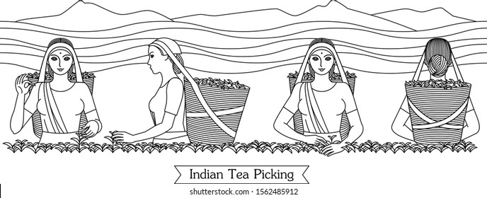 Set of black engraved drawing of Indian women picking tea leaves on the mountain plantation. Harvesters with baskets. Vector illustration isolated on background for packaging tea drink business.