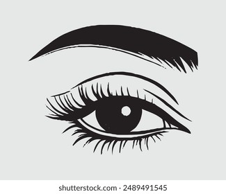 Set of black eyelashes of different types. Vector illustration., vector illustration, typography vector. Perfect salon look., eye, isolated, girl, salon, mascara.eps
