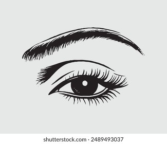 Set of black eyelashes of different types, Vector illustration, Perfect salon look., eye, isolated, girl, salon, mascara, vector illustration, typography vector.eps
