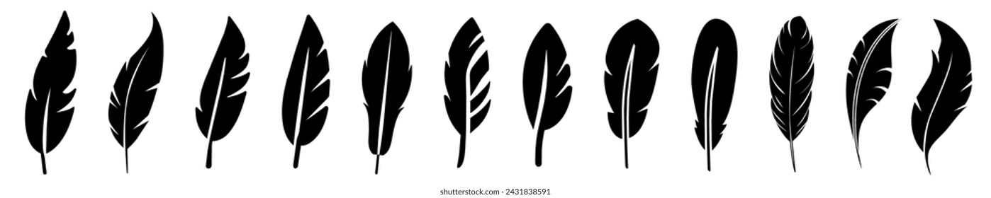Set of black feather in a flat style. isolated feathers silhouette	
