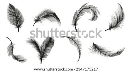 Set of black feather icon. Black feather collection. Set of detailed majestic feather. Feather icon collection
