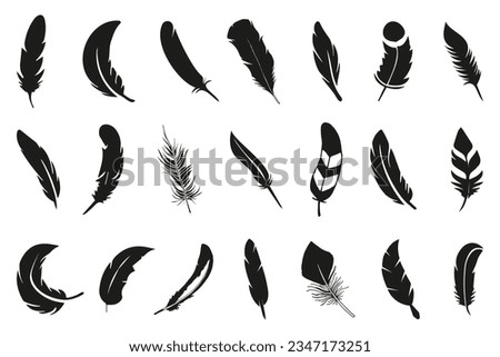 Set of black feather icon. Black feather collection. Set of detailed majestic feather. Feather icon collection