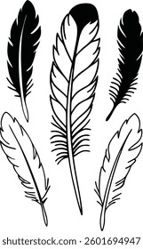 Set of Black Feather Illustrations Featuring Various Shapes And Sizes
