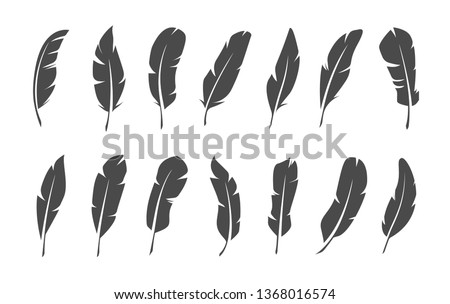 Set of black feather symbols on white background.