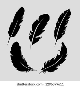 Set Of Black Feathers