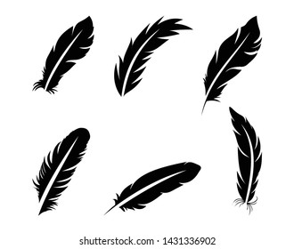 Set of black feathers on a white background in flat style.Vector