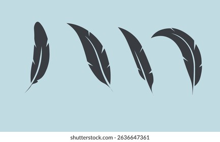 Set of black  feathers. Vector illustration