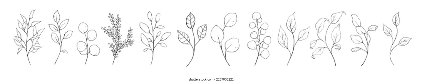 Set von schwarzen feinen Kunstzweig, Blatt, Pflanzen. Botanisches Blumenblatt Umriss Stift Skizze Blätter einzeln auf weißem Hintergrund. Handgezeichnete Linie, schwarz, einfache Vektorgrafik 