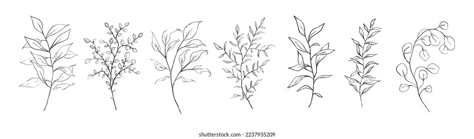Set of black fine art floral branch, leaf, plants. Botanic delicate foliage outline pencil sketch leaves isolated on white background. Hand drawn line art black simple vector illustration 