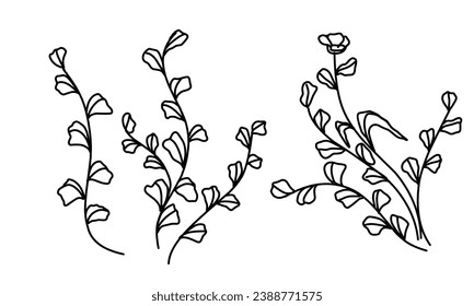 Set of black fine art floral branch, leaf, plants. Botanic delicate foliage outline pencil sketch leaves isolated on white background.