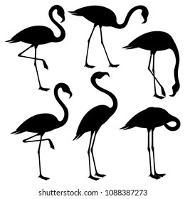 Set of black flamingos on white background.