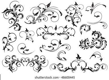 Set of Black floral elements for decor, Illustration