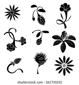 Set of black flower design elements