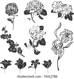 Set of black flower design elements isolated on White background.   Vector illustration.