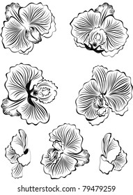 Set of black flower orchids design elements