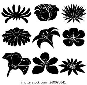 Set of black flower templates on a white background