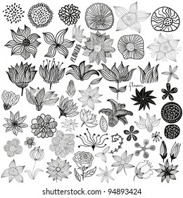 Set of black flowers