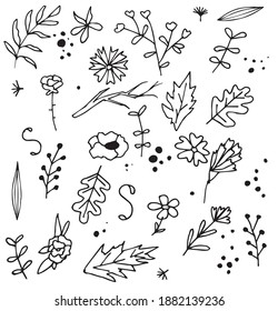 Set of black flowers Doodle hand drawn. Floral design elements