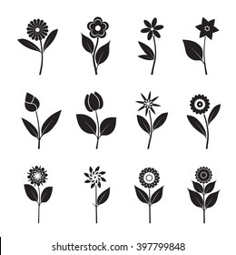 Set of black Flowers and Leafs. Vector Illustration.