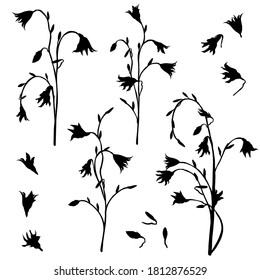 Set of black flowers on a white background. Black and white vector illustration. Stencil of flower branches, wildflowers.