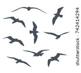 Set of black  flying seagull silhouettes on white background.