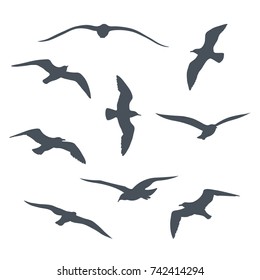 Set of black  flying seagull silhouettes on white background.