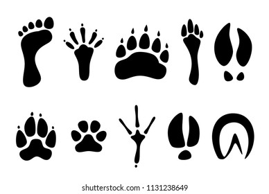 1,497 Horse footprints and vector Images, Stock Photos & Vectors ...