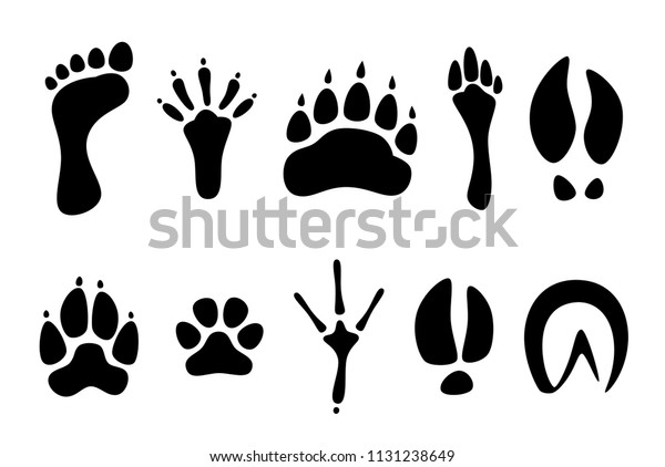 Set Black Footprints Different Animals On Stock Vector (Royalty Free ...