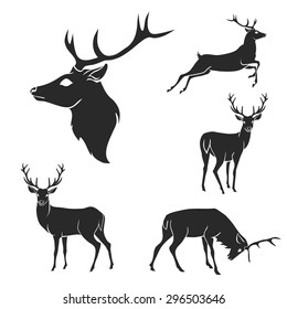 Set of black forest deer silhouettes. Suitable for logo, emblem, pattern, typography etc. Isolated black on white background. Vector illustration