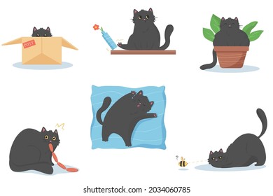 Set of black funny cat with big eyes. Cat eats food sausages in secret, sits in flower pot, sleeps on soft big pillow, push a vase with flower, hides in post box, hunts a bee.  Pet life. Stickers