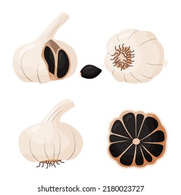 Set of black garlic isolated on white background. Asian cuisine. Vegetarian ingredient dark flavor. Icon for packing design, emblem natural product. Vector illustration