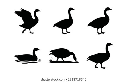 Set of black geese silhouettes in different poses, including standing, swimming, and grazing waterfowl.