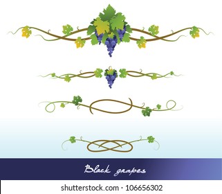 Set of black grape elements for design