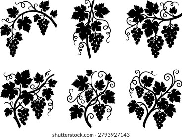 Set of black grapevine illustrations with leaves and fruit