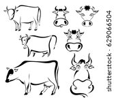 Set of black graphic images of cows on a white background. Abstract drawings of milk cows cartoon style. Vector illustration