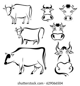 Set of black graphic images of cows on a white background. Abstract drawings of milk cows cartoon style. Vector illustration