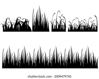 Set of Black Grass Silhouettes on White Background. vector illustration