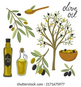 Conjunto de aceitunas negras y verdes y botellas de aceite de oliva, olivo aislado de fondo blanco. Gráficos vectoriales.