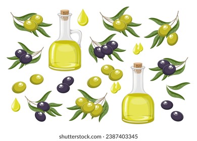 Set of black and green olives. Olive oil, drops of oil and twigs with olives and leaves. Food illustration, vector