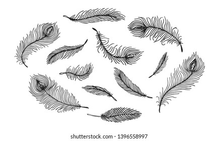 Set of black hand drawn different Peacock feather on white background. Isolated vector illustration