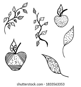 Set of black hand drawn elements. Floral. Botanical. Nature. Leaves. Branch. Apple. Organic